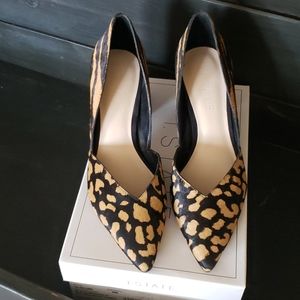 Brand new never worn